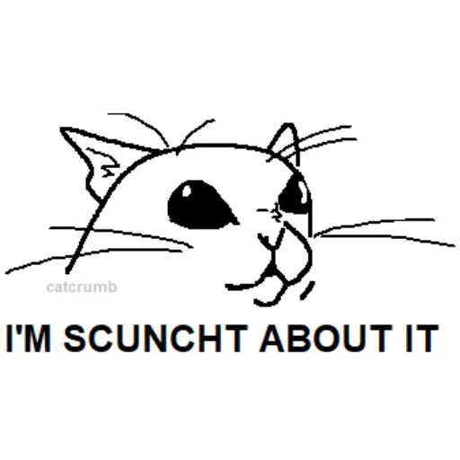 an image of the scuncht emote