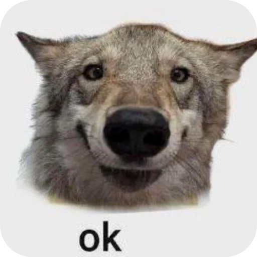 an image of the wolp_ok emote